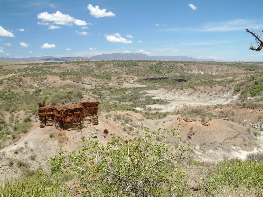 01-Olduvai Canyon.jpg - Olduvai Canyon